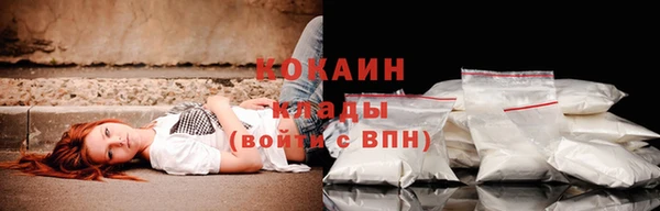амф Белокуриха