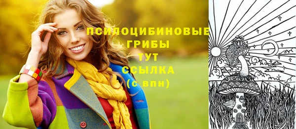 спайс Беломорск