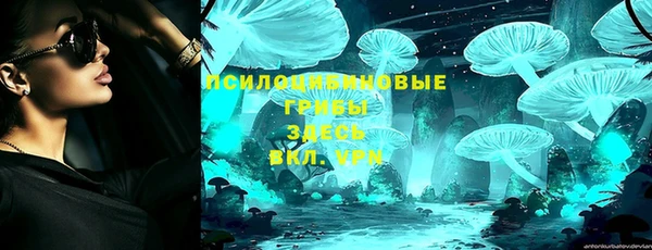 спайс Беломорск