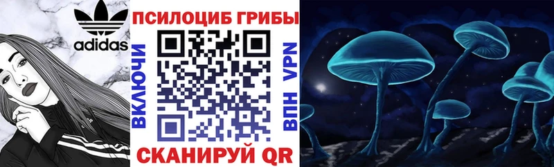 Галлюциногенные грибы Psilocybine cubensis  сколько стоит  Заводоуковск 